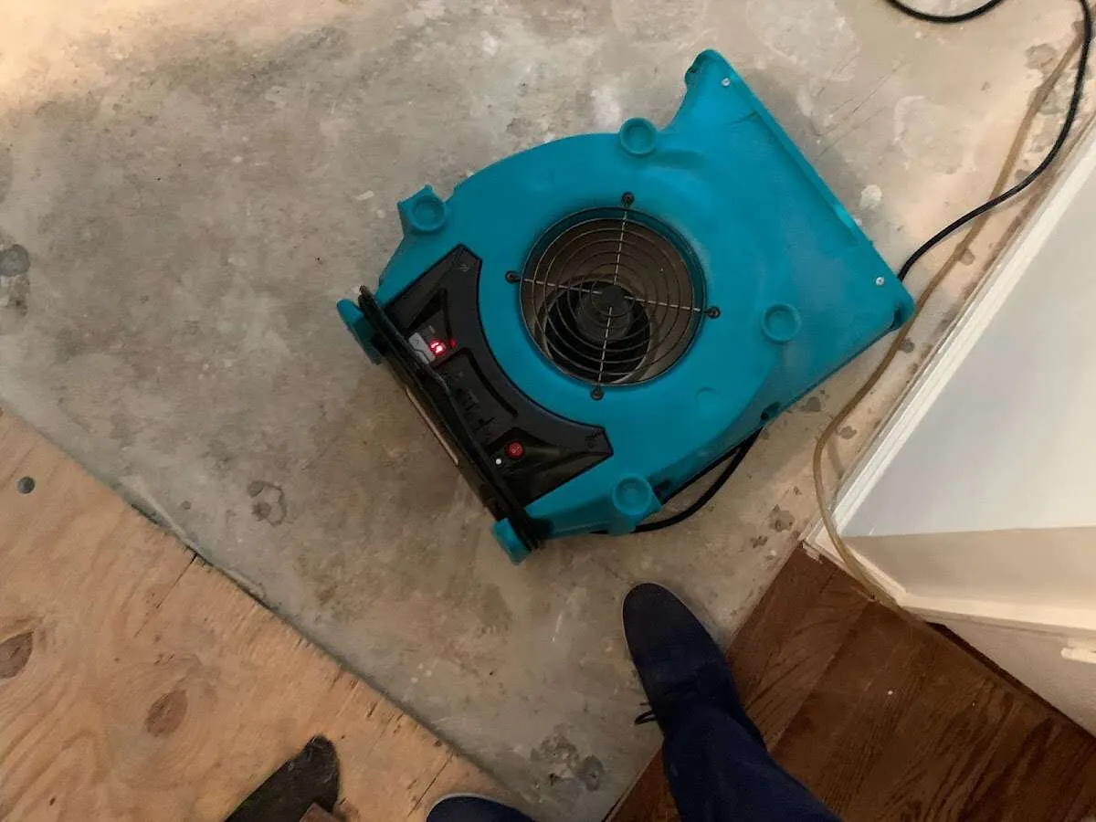 Air mover drying subfloor during Commercial Water Damage Restoration in Demopolis